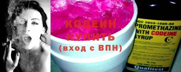 прущие крисы Вяземский