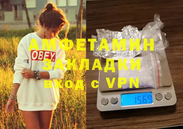 прущие крисы Вяземский