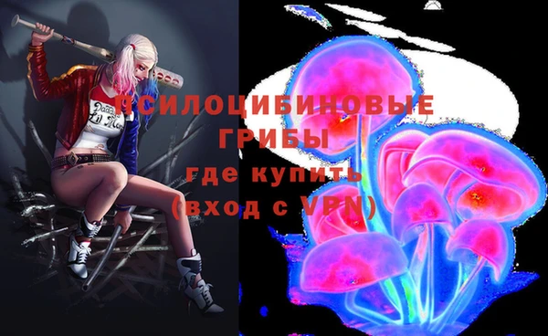 стафф Вязники