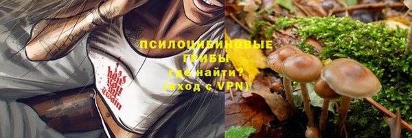 стафф Вязники