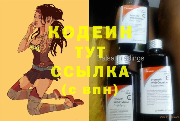 прущие крисы Вяземский