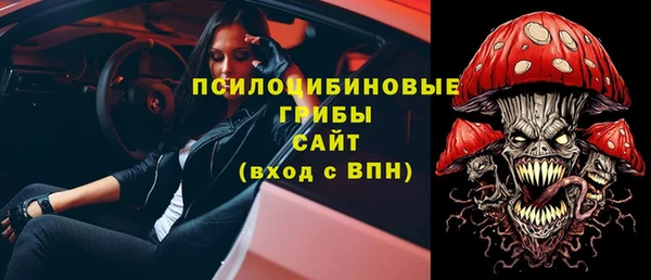 прущие крисы Вяземский
