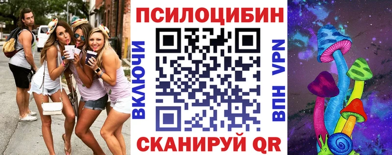 наркотики  Покачи  Псилоцибиновые грибы Psilocybine cubensis 